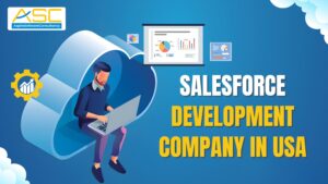 Salesforce Development Company in USA: Custom CRM Development & Consulting Services